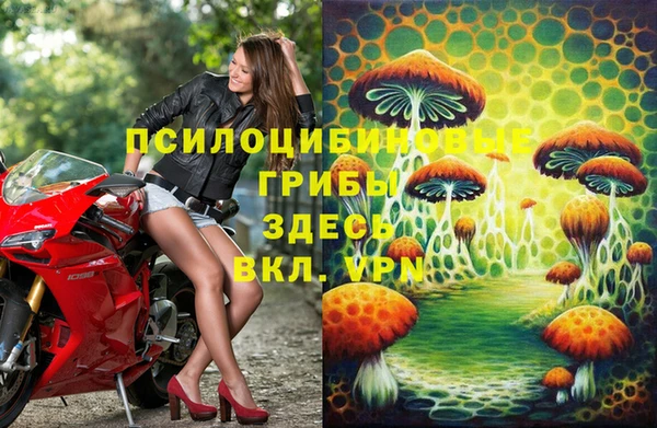 мяу мяу мука Арсеньев