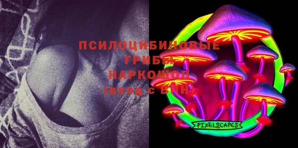 мет Аркадак