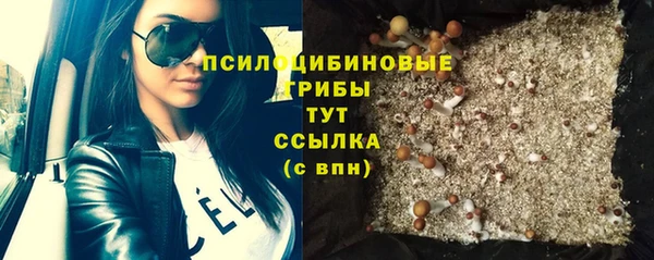 мет Аркадак