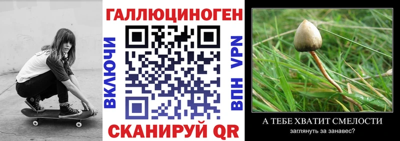 blacksprut как войти  Дедовск  Псилоцибиновые грибы прущие грибы 